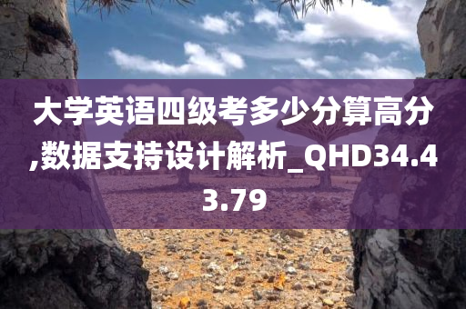 大学英语四级考多少分算高分,数据支持设计解析_QHD34.43.79