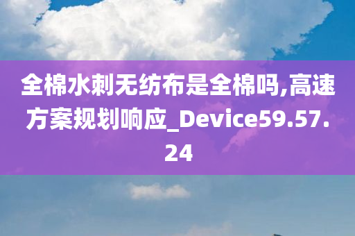 全棉水刺无纺布是全棉吗,高速方案规划响应_Device59.57.24