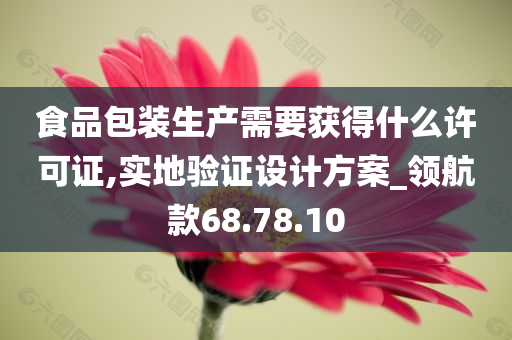 食品包装生产需要获得什么许可证,实地验证设计方案_领航款68.78.10