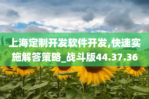 上海定制开发软件开发,快速实施解答策略_战斗版44.37.36