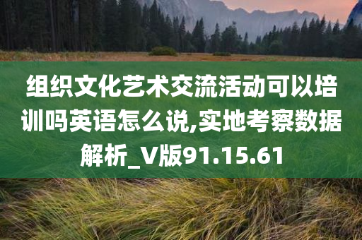 组织文化艺术交流活动可以培训吗英语怎么说,实地考察数据解析_V版91.15.61