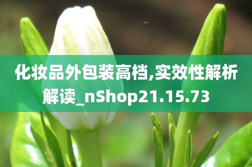 化妆品外包装高档,实效性解析解读_nShop21.15.73