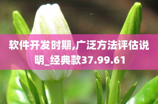 软件开发时期,广泛方法评估说明_经典款37.99.61