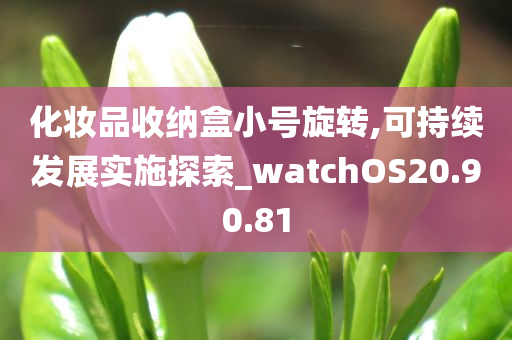 化妆品收纳盒小号旋转,可持续发展实施探索_watchOS20.90.81