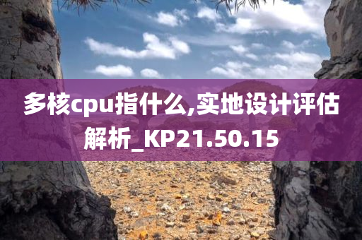 多核cpu指什么,实地设计评估解析_KP21.50.15