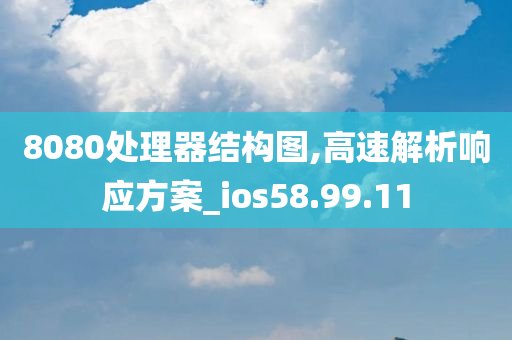 8080处理器结构图,高速解析响应方案_ios58.99.11