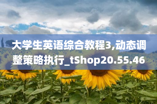 大学生英语综合教程3,动态调整策略执行_tShop20.55.46