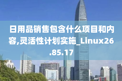 日用品销售包含什么项目和内容,灵活性计划实施_Linux26.85.17