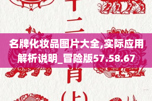 名牌化妆品图片大全,实际应用解析说明_冒险版57.58.67