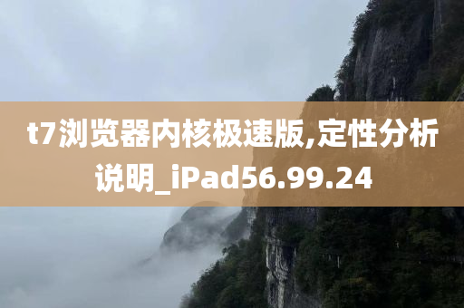 t7浏览器内核极速版,定性分析说明_iPad56.99.24