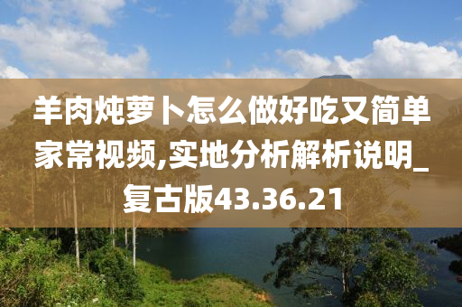 羊肉炖萝卜怎么做好吃又简单家常视频,实地分析解析说明_复古版43.36.21