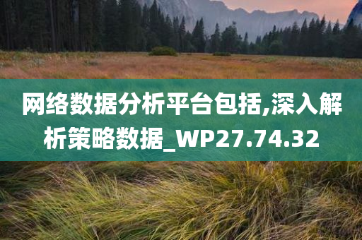 网络数据分析平台包括,深入解析策略数据_WP27.74.32