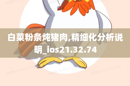 白菜粉条炖猪肉,精细化分析说明_ios21.32.74