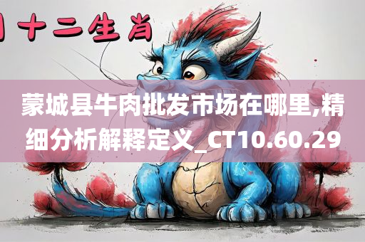 蒙城县牛肉批发市场在哪里,精细分析解释定义_CT10.60.29