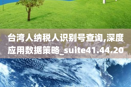 台湾人纳税人识别号查询,深度应用数据策略_suite41.44.20