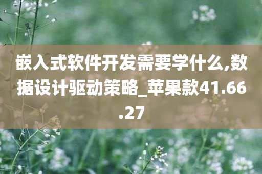 嵌入式软件开发需要学什么,数据设计驱动策略_苹果款41.66.27