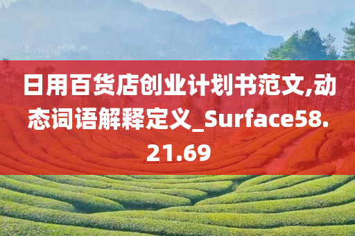 日用百货店创业计划书范文,动态词语解释定义_Surface58.21.69