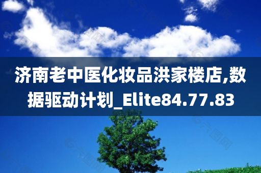 济南老中医化妆品洪家楼店,数据驱动计划_Elite84.77.83