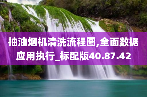 抽油烟机清洗流程图,全面数据应用执行_标配版40.87.42