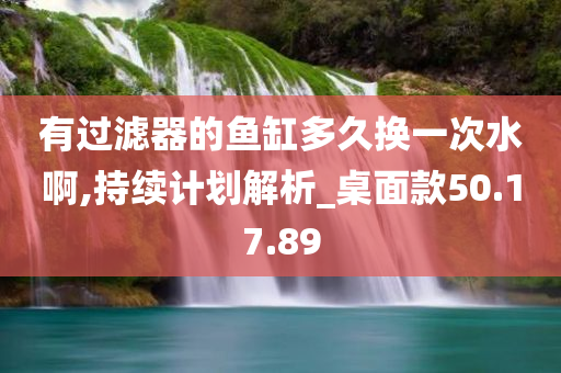 有过滤器的鱼缸多久换一次水啊,持续计划解析_桌面款50.17.89