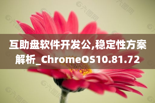 互助盘软件开发公,稳定性方案解析_ChromeOS10.81.72