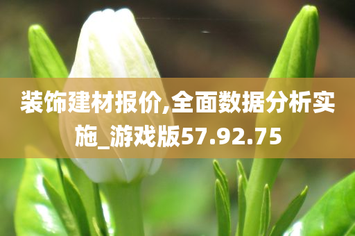 装饰建材报价,全面数据分析实施_游戏版57.92.75