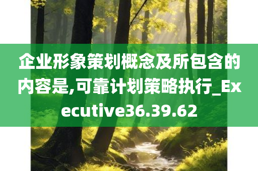 企业形象策划概念及所包含的内容是,可靠计划策略执行_Executive36.39.62