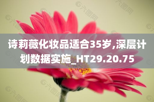 诗莉薇化妆品适合35岁,深层计划数据实施_HT29.20.75