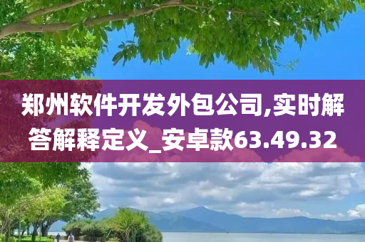 郑州软件开发外包公司,实时解答解释定义_安卓款63.49.32