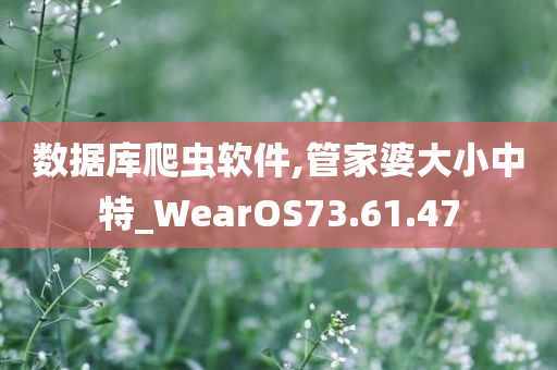 数据库爬虫软件,管家婆大小中特_WearOS73.61.47