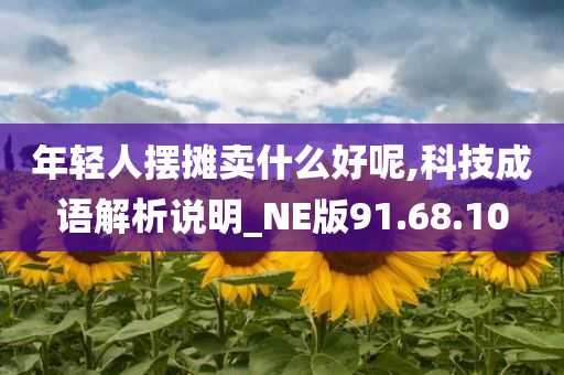 年轻人摆摊卖什么好呢,科技成语解析说明_NE版91.68.10