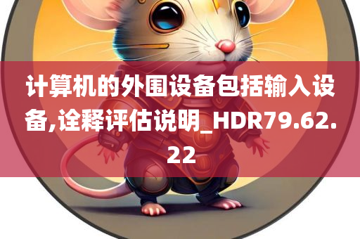 计算机的外围设备包括输入设备,诠释评估说明_HDR79.62.22