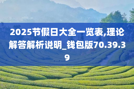 2025节假日大全一览表,理论解答解析说明_钱包版70.39.39