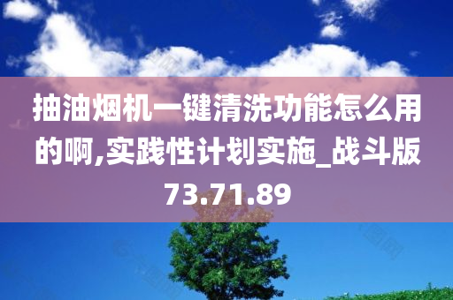 抽油烟机一键清洗功能怎么用的啊,实践性计划实施_战斗版73.71.89