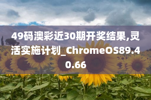 49码澳彩近30期开奖结果,灵活实施计划_ChromeOS89.40.66