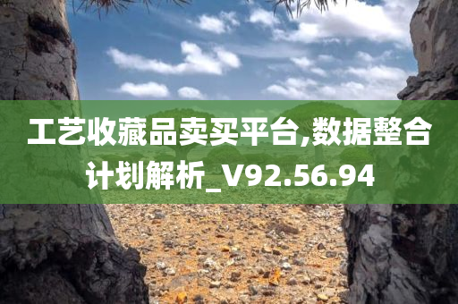 工艺收藏品卖买平台,数据整合计划解析_V92.56.94