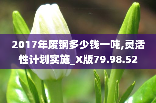 2017年废钢多少钱一吨,灵活性计划实施_X版79.98.52