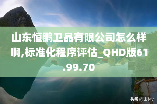 山东恒鹏卫品有限公司怎么样啊,标准化程序评估_QHD版61.99.70