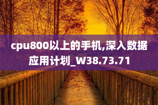 cpu800以上的手机,深入数据应用计划_W38.73.71