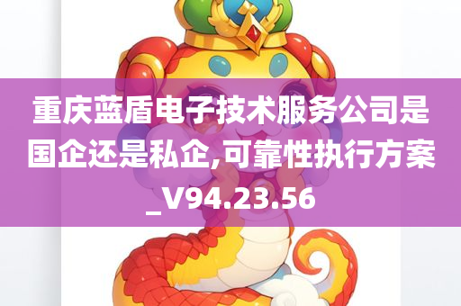 重庆蓝盾电子技术服务公司是国企还是私企,可靠性执行方案_V94.23.56