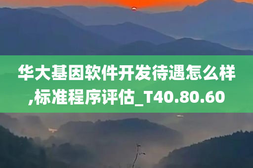 华大基因软件开发待遇怎么样,标准程序评估_T40.80.60