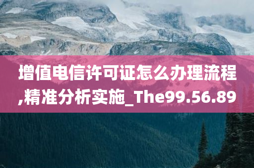 增值电信许可证怎么办理流程,精准分析实施_The99.56.89