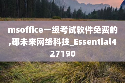 msoffice一级考试软件免费的,郡未来网络科技_Essential427190