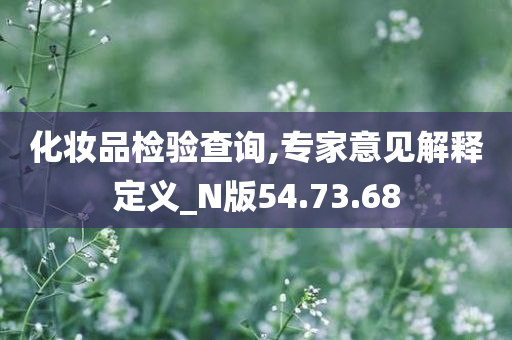 化妆品检验查询,专家意见解释定义_N版54.73.68