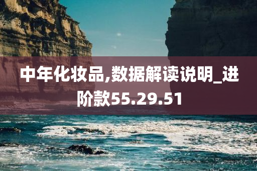 中年化妆品,数据解读说明_进阶款55.29.51