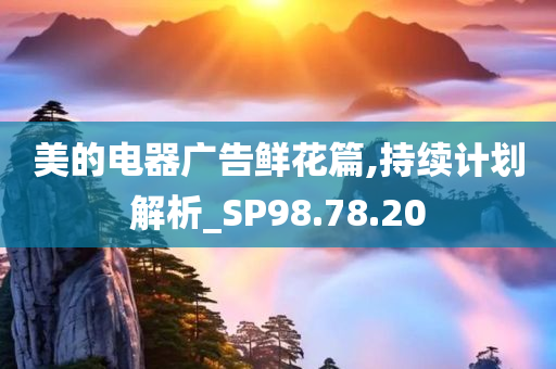 美的电器广告鲜花篇,持续计划解析_SP98.78.20