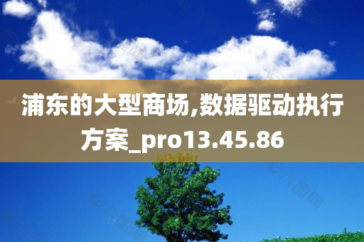 浦东的大型商场,数据驱动执行方案_pro13.45.86