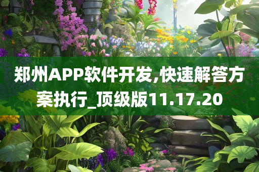 郑州APP软件开发,快速解答方案执行_顶级版11.17.20