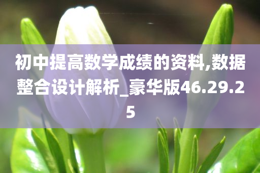 初中提高数学成绩的资料,数据整合设计解析_豪华版46.29.25