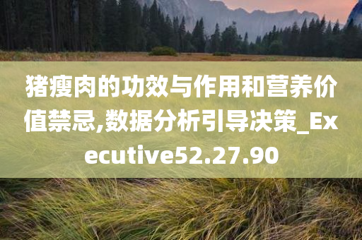 猪瘦肉的功效与作用和营养价值禁忌,数据分析引导决策_Executive52.27.90